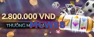 MCW88